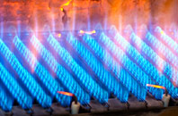 Buchan Hill gas fired boilers
